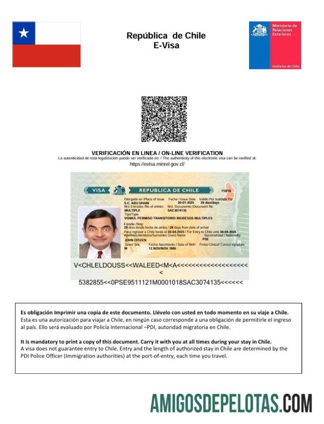 realista Modelo de visto Chile E em formatos Word e PDF